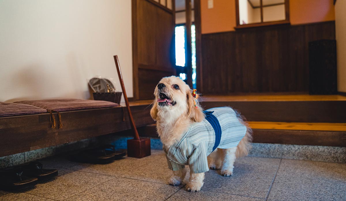 山上離れスイート 玄関