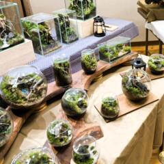 「風のいろ展 山粧う」開催のご案内